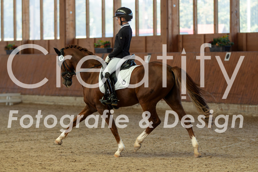 IMG_7880 | Creatify Fotografie