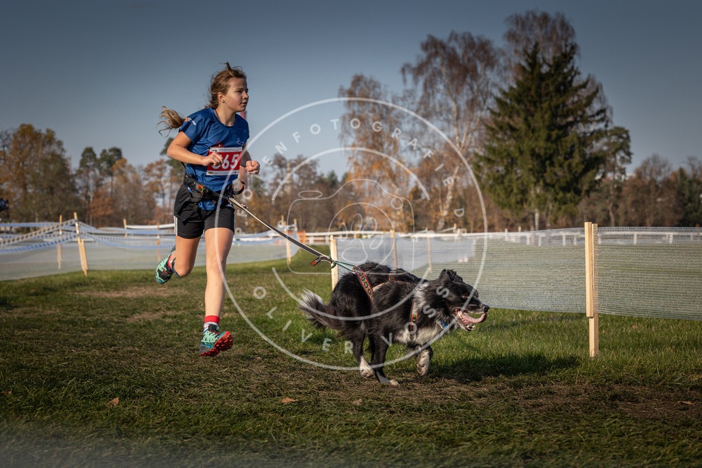 CaniXpix_0L8A9372 | Hundefotografie, Tierfotograf, Pfotenfotografie, Fotoshooting Hund, Hunde Portrait, Hundesport, Hundeportraits, Heideshooting, Hunde, Sportfotograf, Hundefotograf, Turnierhundsport, THS,  - Realisiert mit Pictrs.com