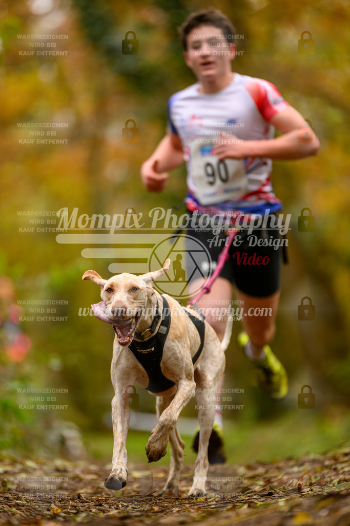 MompixPhotography_Bischwiller24_SA_Canicross-127 | PayLife