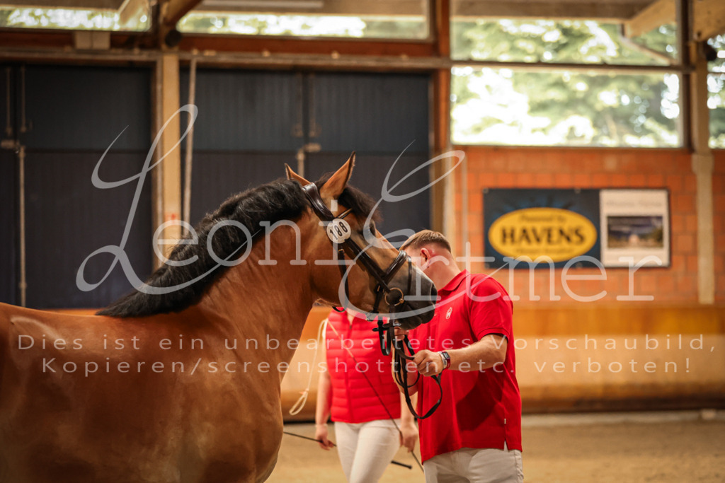 SaFL00178 | Leoni Ertmer Photography - Realisiert mit Pictrs.com