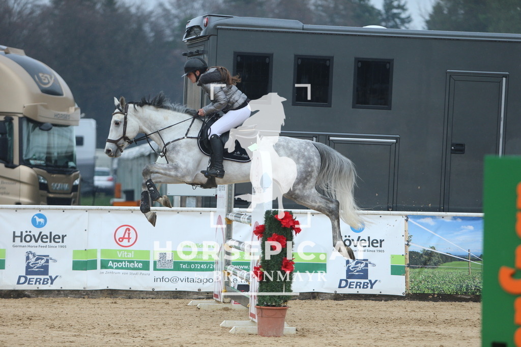 DL2Q6863 | Willkommen bei Brunnmayr - Design & Fotografie – Ihrem Spezialisten für Reitturniere und Pferdeveranstaltungen in Oberösterreich, Salzburg und Bayern! Seit über 17 Jahren sind wir leidenschaftlich dabei.