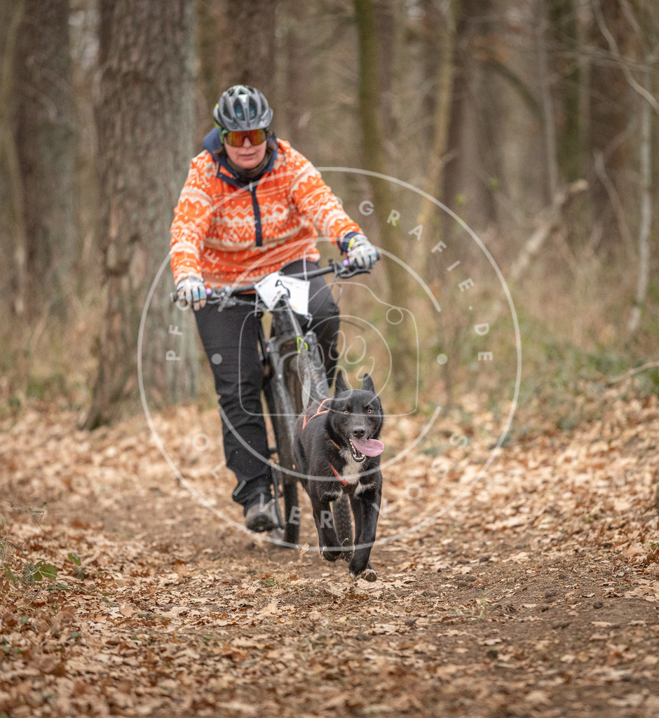 Pfotenfotografie_DV3A0305 | Hundefotografie, Tierfotograf, Pfotenfotografie, Fotoshooting Hund, Hunde Portrait, Hundesport, Hundeportraits, Heideshooting, Hunde, Sportfotograf, Hundefotograf, Turnierhundsport, THS,  - Realisiert mit Pictrs.com