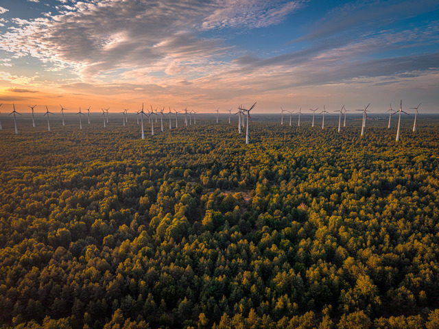 2026-07-10_20-41-56_000 | Windkraftanlagen über einem weitläufigen Wald unter einem farbenfrohen Himmel, Teltow-Fläming, Brandenburg, Deutschland - Realisiert mit Pictrs.com