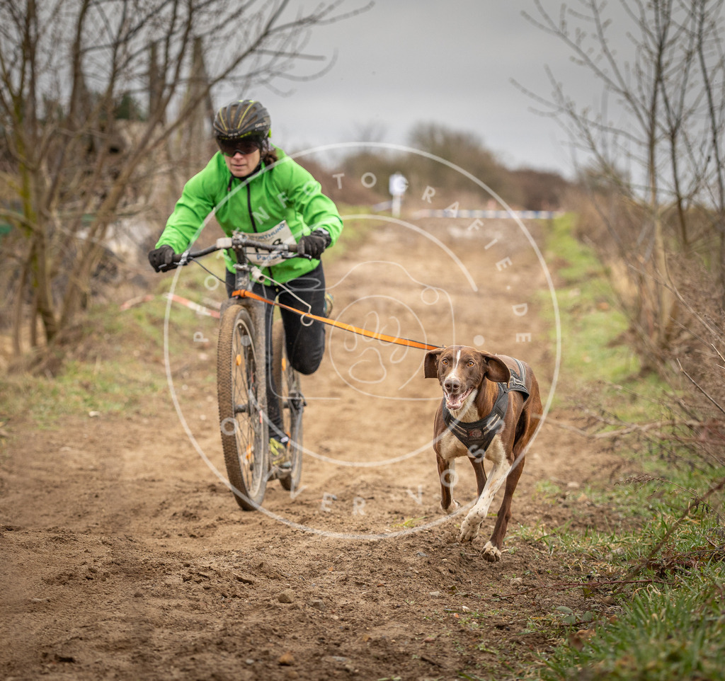 DV3A1494 | Hundefotografie, Tierfotograf, Pfotenfotografie, Fotoshooting Hund, Hunde Portrait, Hundesport, Hundeportraits, Heideshooting, Hunde, Sportfotograf, Hundefotograf, Turnierhundsport, THS,  - Realisiert mit Pictrs.com