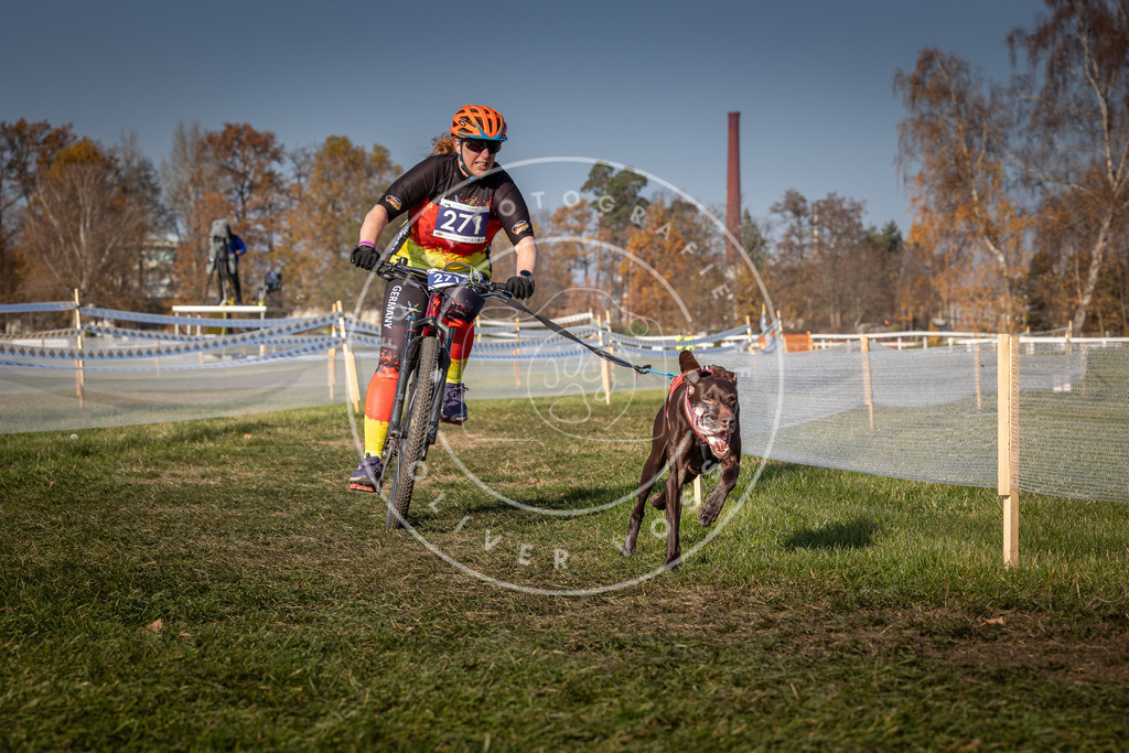 CaniXpix_0L8A7847 | Hundefotografie, Tierfotograf, Pfotenfotografie, Fotoshooting Hund, Hunde Portrait, Hundesport, Hundeportraits, Heideshooting, Hunde, Sportfotograf, Hundefotograf, Turnierhundsport, THS,  - Realisiert mit Pictrs.com