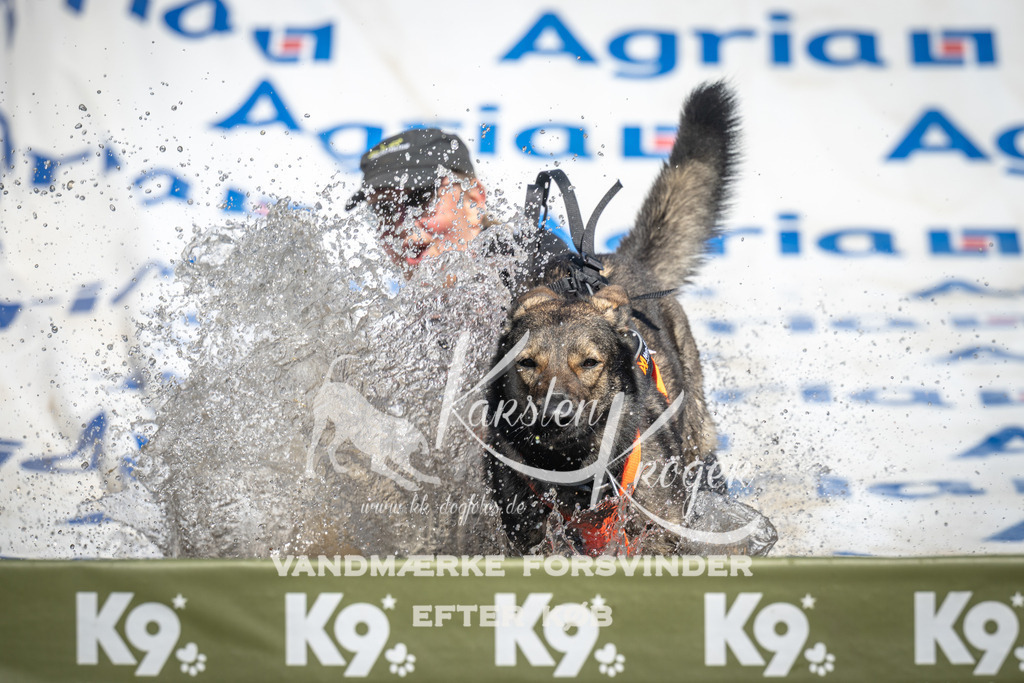 1349_ZZ91412 | kk-dogfotos