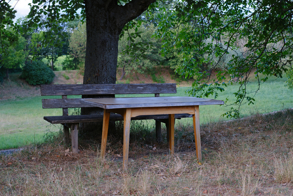 Tisch und Holzbank im Weingarten | Wien, Austria - July 25, 2023: Rustikaler Holztisch mit Holzbank im Weingarten, dahinter ein Baum. - Realisiert mit Pictrs.com