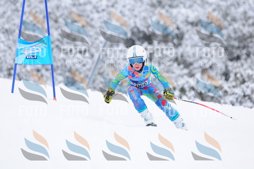 C3943 | holidayphoto