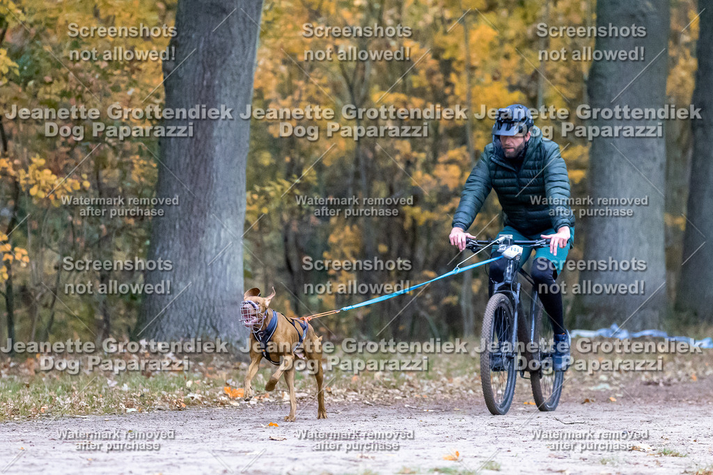 Dog Paparazzi - SD CaniX Championship 2025-57 | Dog Paparazzi Jeanette Grottendiek Fotografie & Videografie - Realisiert mit Pictrs.com