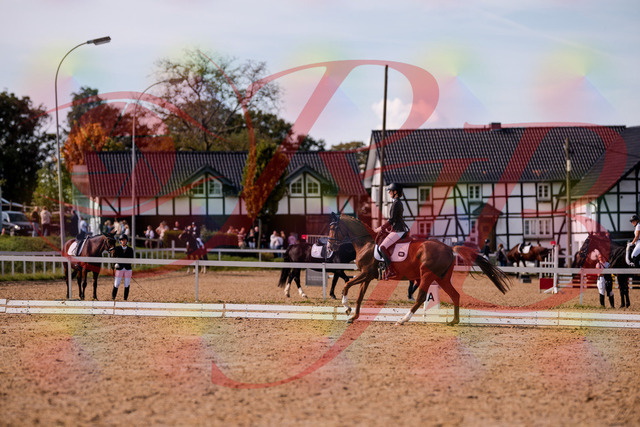 2026_10_03_Siefer-Hof_133117_Z81_84590600 | Professionelle Reitsport-, Turnier- und Eventfotografie von Robert Broda. Galerien mit ausgewählten und bearbeiteten Bildern direkt online ansehen und bestellen.