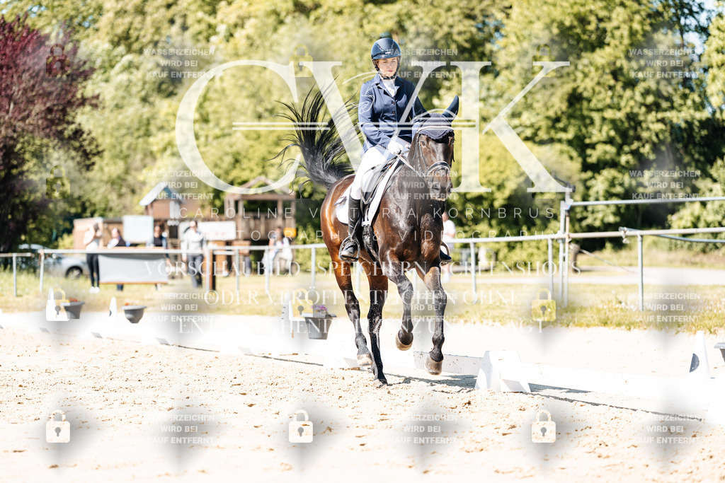 CK905359 | Turnierfotografie Pferdefotografie Trier Rheinland-Pfalz Pferdesport Reitsport Tierfotografie Sportfotografie Pferdevideo Pferdevideografie Equestrianvideography equestrianphotography  - Realisiert mit Pictrs.com