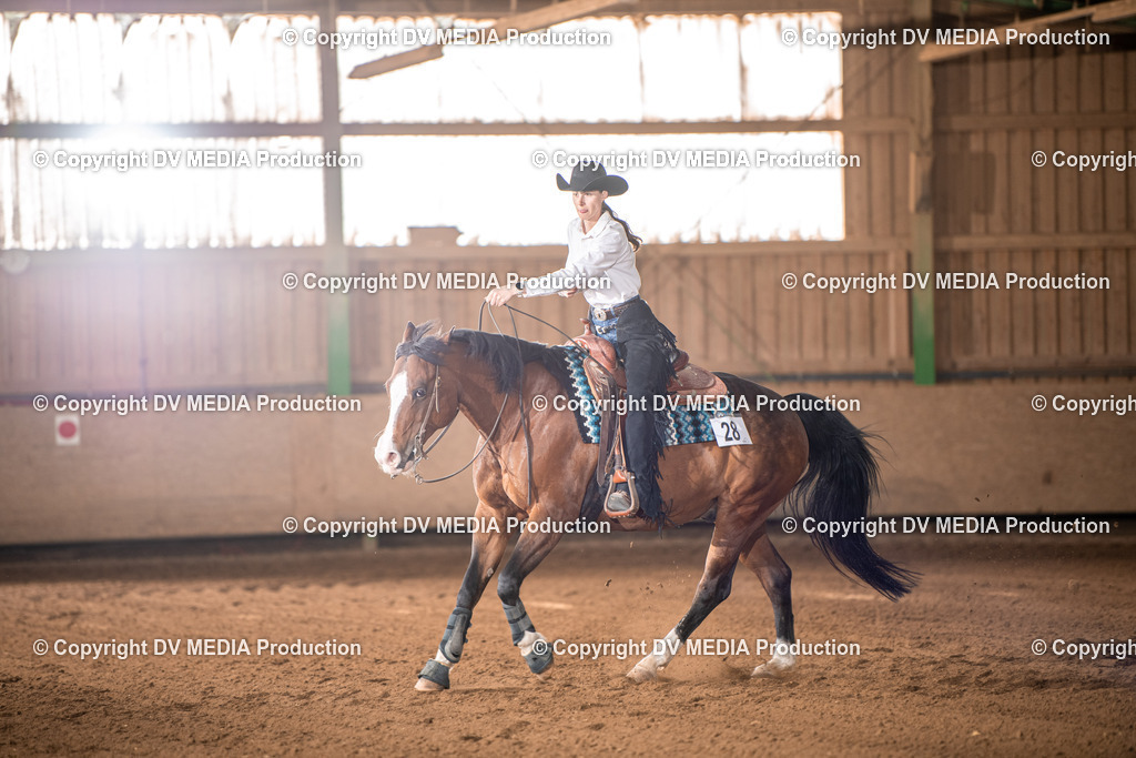 Balingen Tag 4-1104 | dv-media-shop - Realisiert mit Pictrs.com