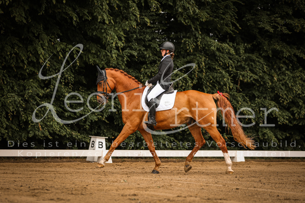 DoDrA00059 | Leoni Ertmer Photography - Realisiert mit Pictrs.com