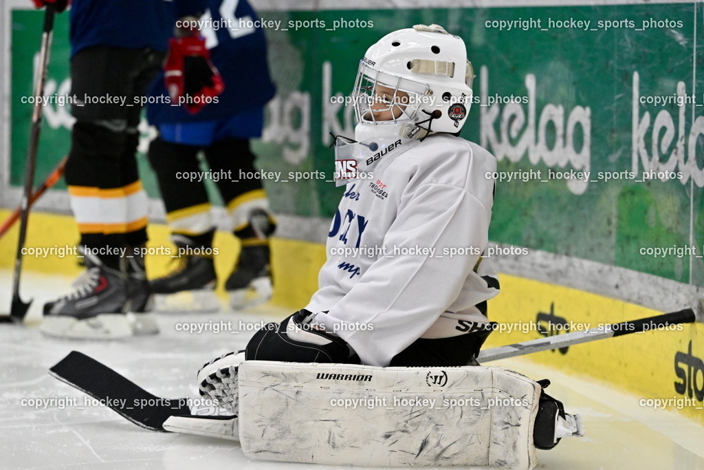 Z9B_1860 | hockey sports photos, Pressefotos, Sportfotos, hockey247, win 2day icehockeyleague, Handball Austria, Floorball Austria, ÖVV, Kärntner Eishockeyverband, KEHV, KFV, Kärntner Fussballverband, Österreichischer Volleyballverband, Alps Hockey League, ÖFB, 