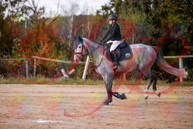 2026_10_03_Siefer-Hof_145127_Z81_30225099 | Professionelle Reitsport-, Turnier- und Eventfotografie von Robert Broda. Galerien mit ausgewählten und bearbeiteten Bildern direkt online ansehen und bestellen.