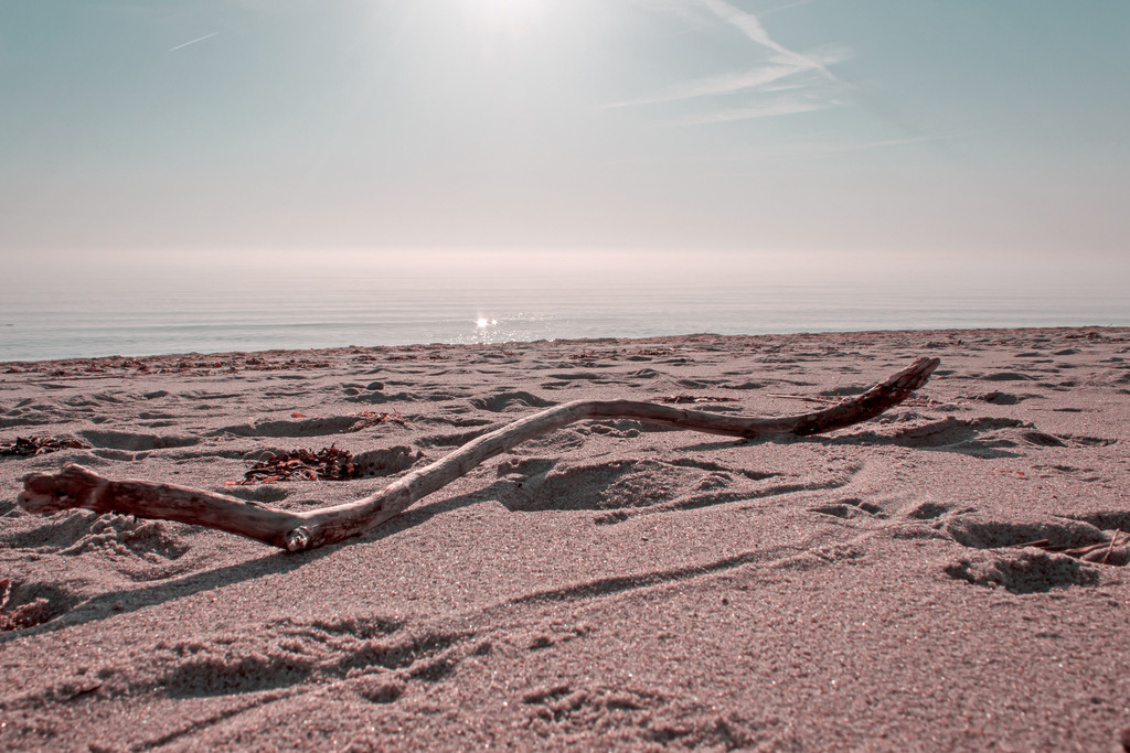Wandbild: Sonnenschein am Sandstrand in dezenten Farben | Dieses Wandbild im Querformat zeigt das Meer in einer schönen Morgenstimmung. Am oberen Bildrand kann man sehr schön den Sonnenschein sehen. Auf dem seidenartigen Meer sind schöne Lichtreflexionen zu sehen. Am Strand liegt ein Stück Treibholz. Ob für Ihre Ferienwohnung oder für Ihr Zuhause im Wohnzimmer, in der Küche und im Schlafzimmer dieses maritime Wandbild zaubert einen kleinen Urlaub an Ihre Wände. Dieses Wandbilder ist auf Leinwand, Aluminium-Platte, Acrylglas oder als Holzdruck erhältlich. Die Wandbilder werden individuell für Sie in vielen Abmessungen produziert. Daher passen die Ostseekult Wandbilder immer perfekt an Ihre Wände.  - Realisiert mit Pictrs.com