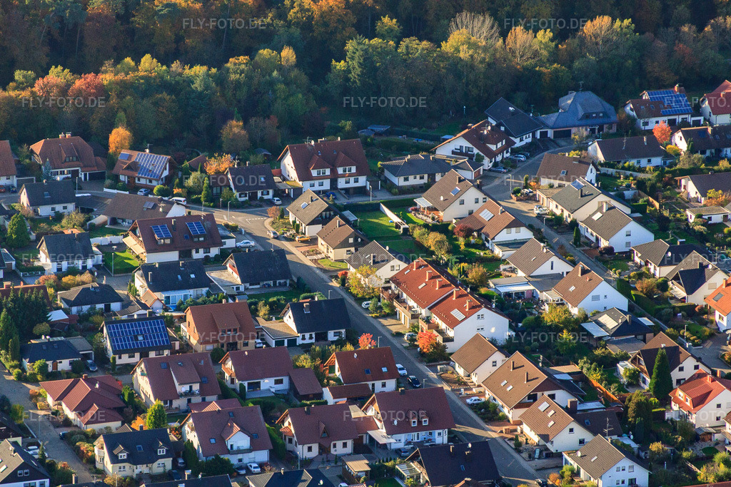 Luftbild: Südring in Rülzheim im Bundesland Rheinland-Pfalz in Deutschland. Foto: IMG_60511.jpg vom 24.10.2013 durch Werner Riehm/FLY-FOTO.de