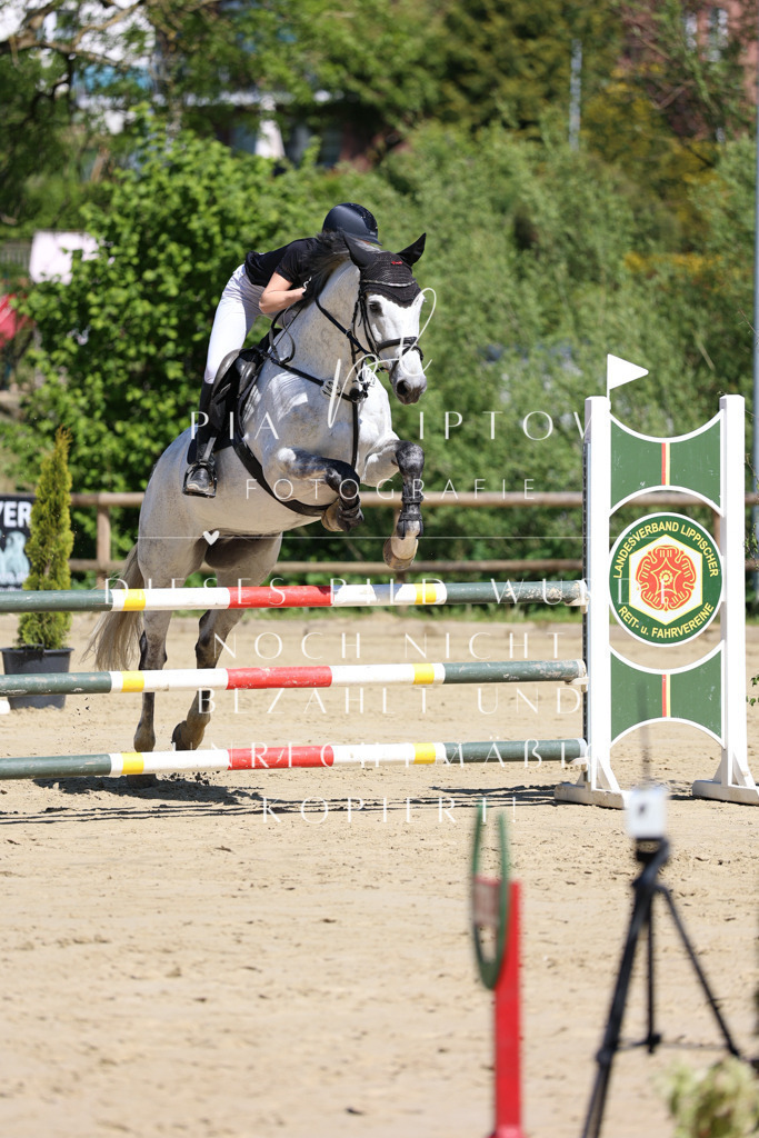 IMGS7542 | pl-fotografie