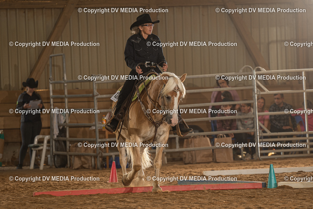 NID02536 | dv-media-shop - Realisiert mit Pictrs.com