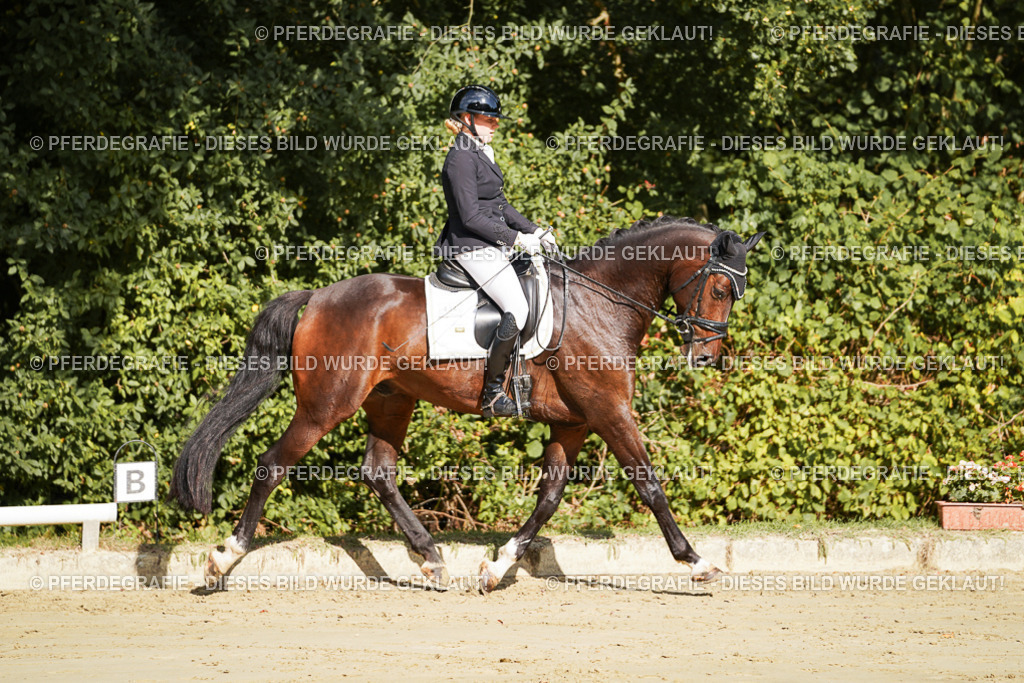 DSC07738 | Pferdegrafie