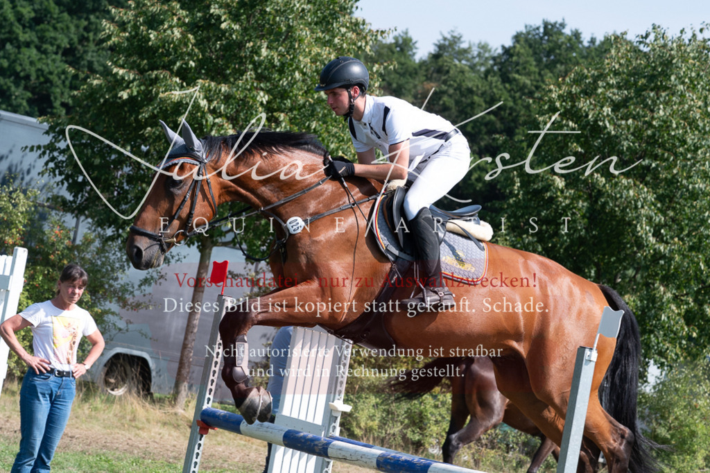 DSC_0878 | Pferde- und Turnierfotografie in Westsachsen. Pferdeportraits, Auftragszeichnungen und intuitive Kunst.