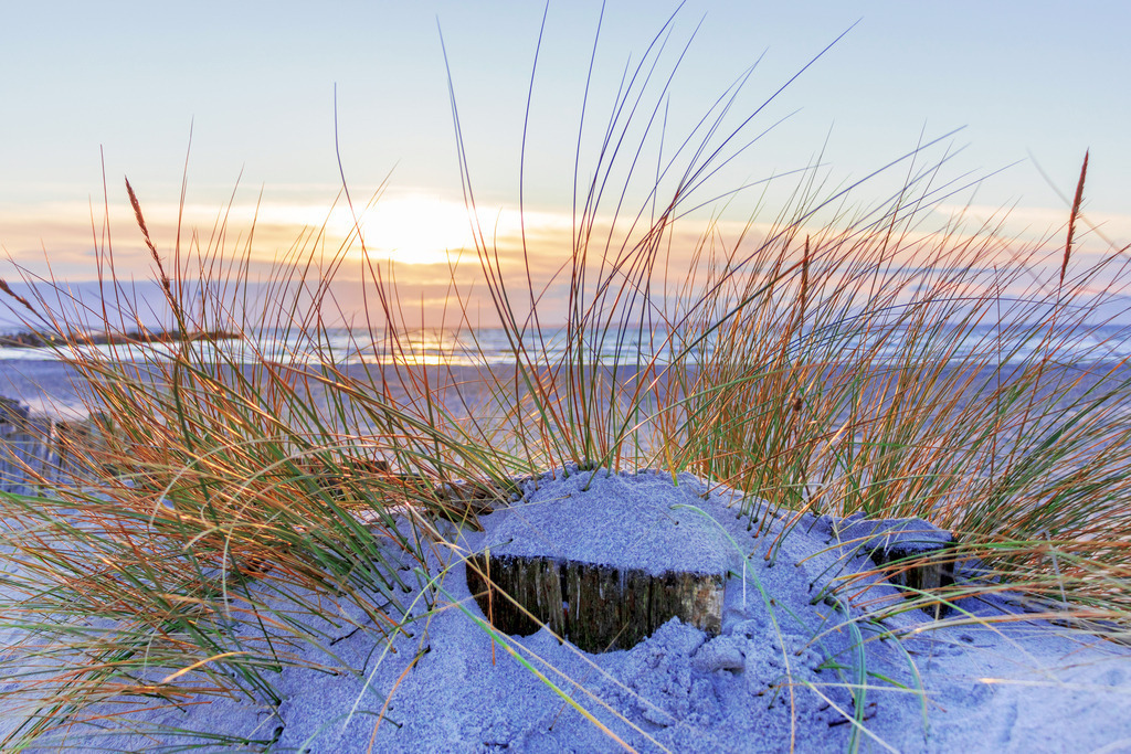 Wandbild: Sonnenaufgang an der Ostsee | Dieses Wandbild zeigt eine schöne Morgenstimmung am Ostseestrand. Im Vordergrund ist Strandhafer zu sehen. Im Hintergrund scheint die Sonne durch eine leichte Bewölkung am Horizont.  - Realisiert mit Pictrs.com