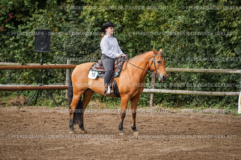 DSC09070 | Pferdegrafie