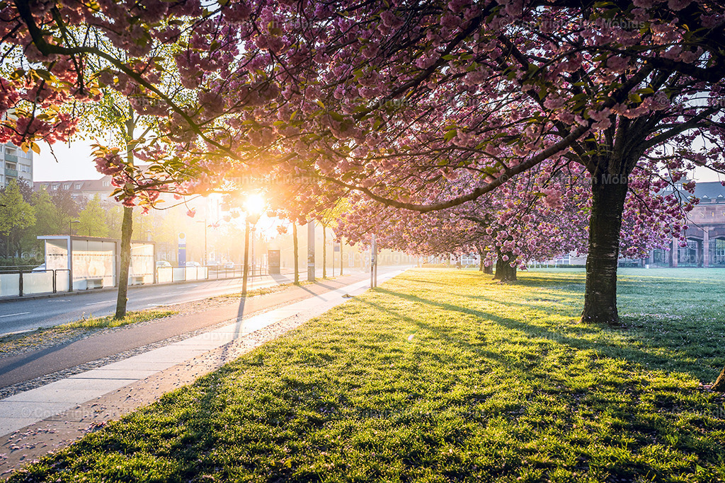 _DSC1694-2 | Leipzig Wandbilder Drucke Prints Leinwand Stadtmotive Leipzig Fotosdruck Kunstdrucke Bilder Leipzig Stadtansichten Acrylglasbilder Leipzig Wanddeko Fine Art Prints Wandbilder Büro Leipzig Bilder Praxis Zuhause Bilderdruck Poster Posterlounge Kunstdrucke - Realisiert mit Pictrs.com