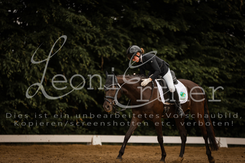 DoDrE00454 | Leoni Ertmer Photography - Realisiert mit Pictrs.com