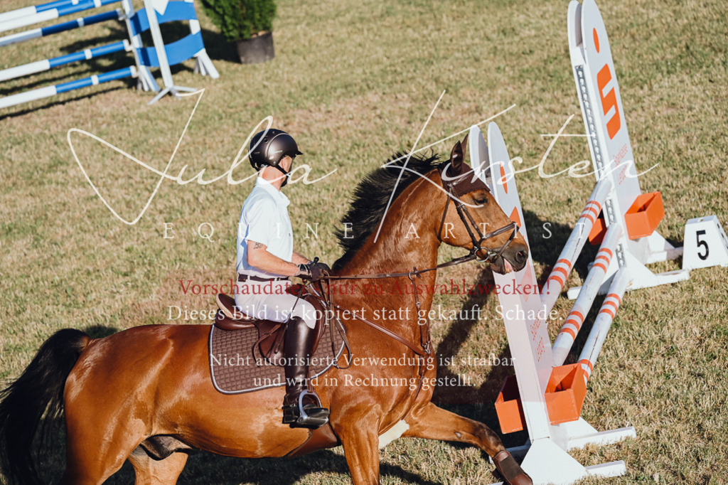 DSC_3263 | Pferde- und Turnierfotografie in Westsachsen. Pferdeportraits, Auftragszeichnungen und intuitive Kunst.
