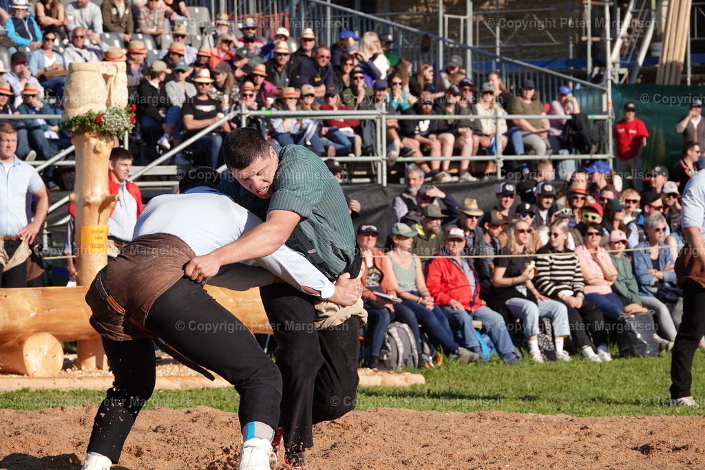 DSC00852 | Schwingen - Realisiert mit Pictrs.com