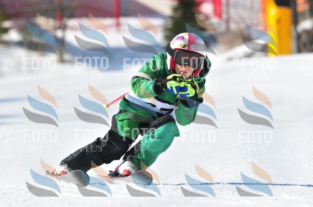 C2800 | holidayphoto