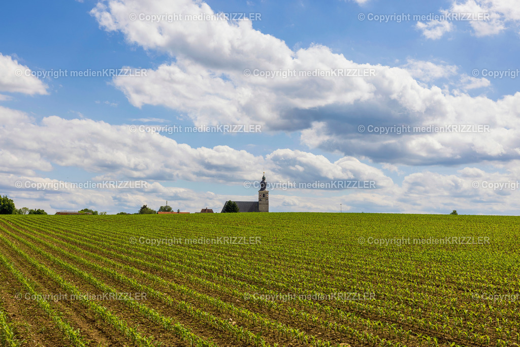 _J3A7894 | medienkrizzler - Realisiert mit Pictrs.com