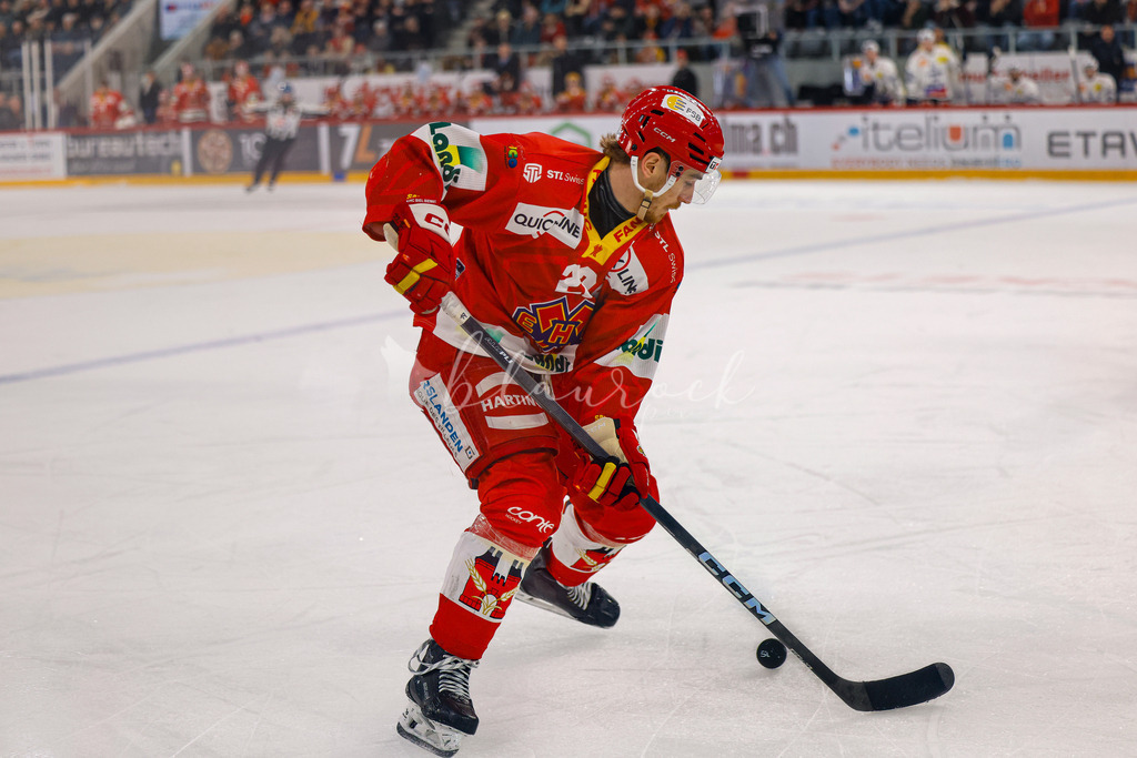 EHCB vs HCAP 20260115_wb-4538 | Sportbilder, Sportfotograf, Hochzeits- und Eventfotografin, Flugshows, Portraits und Tiershooting, Aviation, Downhill, Nationalleague, Swissleague, International