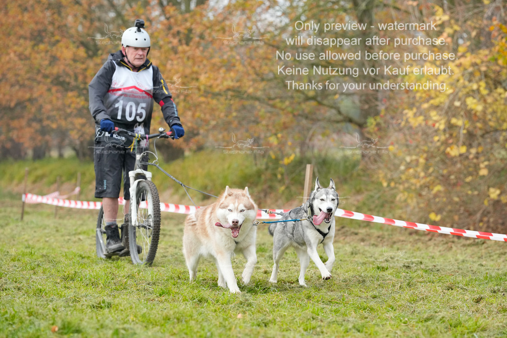 Visbeck_Sa_DS2DR2-76 | stephaniefillaphotographie - Realisiert mit Pictrs.com