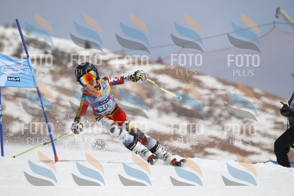 _U3G2000 | holidayphoto