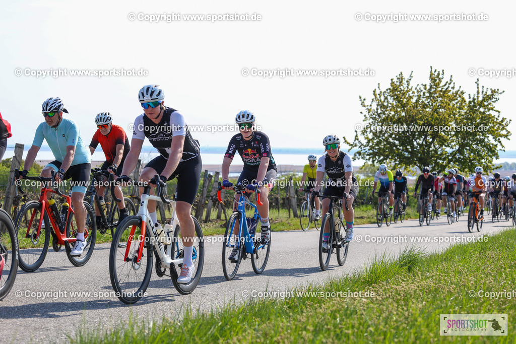 IMG_1904 | @sportshot_your_pictrs #yourpictures#roadtowm2029 #nrm #neusiedlerseeradmarathon #neusiedlersee #neusiedlerseetourismus #burgenland #mörbisch #nrm26 #burgenlandtourismus #voglundco #poweredbyburgenlandtourismus #radsport #rad #marathon #ucigranfondo #visitburgenland #ucigranfondoworldseries