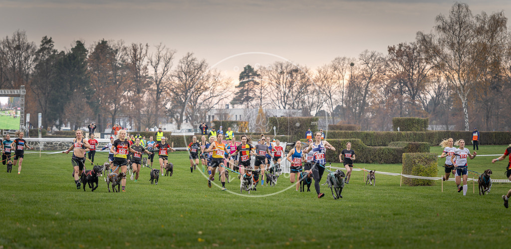 CaniXpix_DV3A6002 | Hundefotografie, Tierfotograf, Pfotenfotografie, Fotoshooting Hund, Hunde Portrait, Hundesport, Hundeportraits, Heideshooting, Hunde, Sportfotograf, Hundefotograf, Turnierhundsport, THS,  - Realisiert mit Pictrs.com