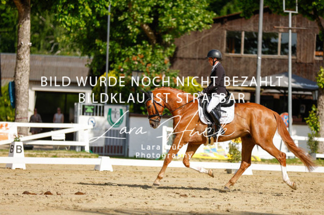 _62_2465 | larahueckfotografie