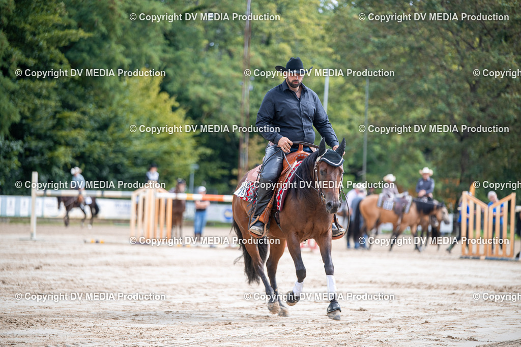 ZS3_4957 | dv-media-shop - Realisiert mit Pictrs.com