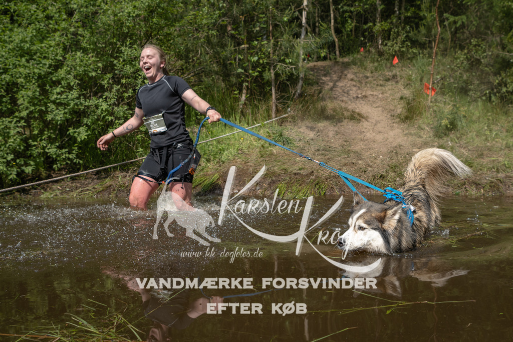 1039DKK991109 | kk-dogfotos