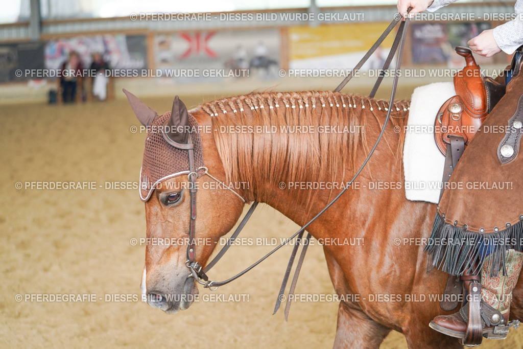 DSC01376 | Pferdegrafie