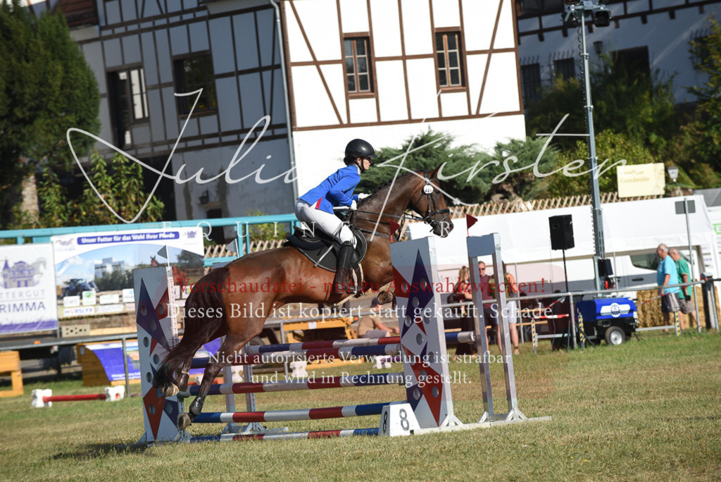 DSC_5310 | Pferde- und Turnierfotografie in Westsachsen. Pferdeportraits, Auftragszeichnungen und intuitive Kunst.