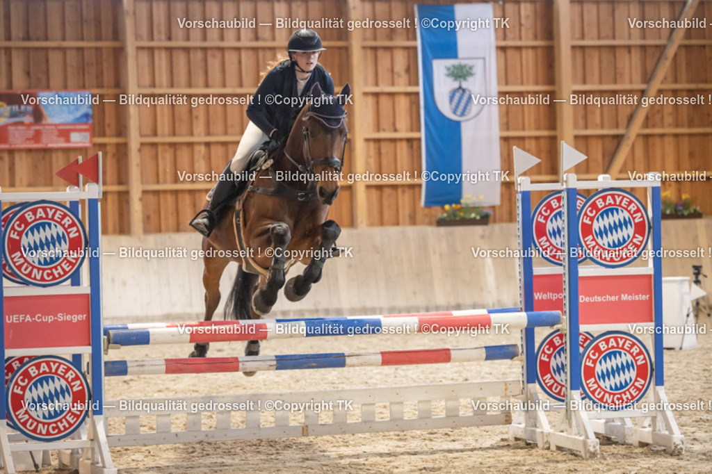 _D5A8055 | Emotionale Pferde- & People-Fotografie rund um Heidelberg, Leimen & Umgebung. Natürliche Fotos von Pferd, Mensch & Familie. Jetzt Termin sichern!