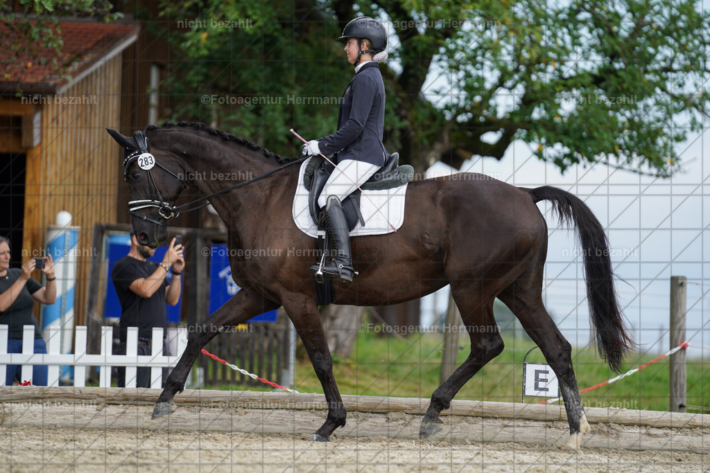 20230826-FAH05228 | Forstinning, 2023, Dressurturnier, Turniersportbilder, Turnierfotografen Bayern, Fotoagentur Herrmann, Reitsportfotografie, Turnierbilder