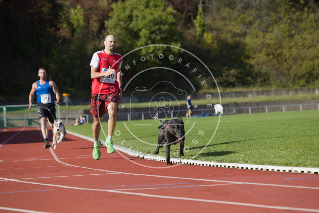 0L8A9732 | Hundefotografie, Tierfotograf, Pfotenfotografie, Fotoshooting Hund, Hunde Portrait, Hundesport, Hundeportraits, Heideshooting, Hunde, Sportfotograf, Hundefotograf, Turnierhundsport, THS,  - Realisiert mit Pictrs.com