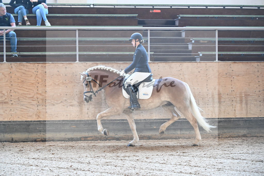 Kat-Nr. 4 Bonfire v. Bon Jovi_Freidhof-Debes_43250106 | hf-fotografie - Realisiert mit Pictrs.com