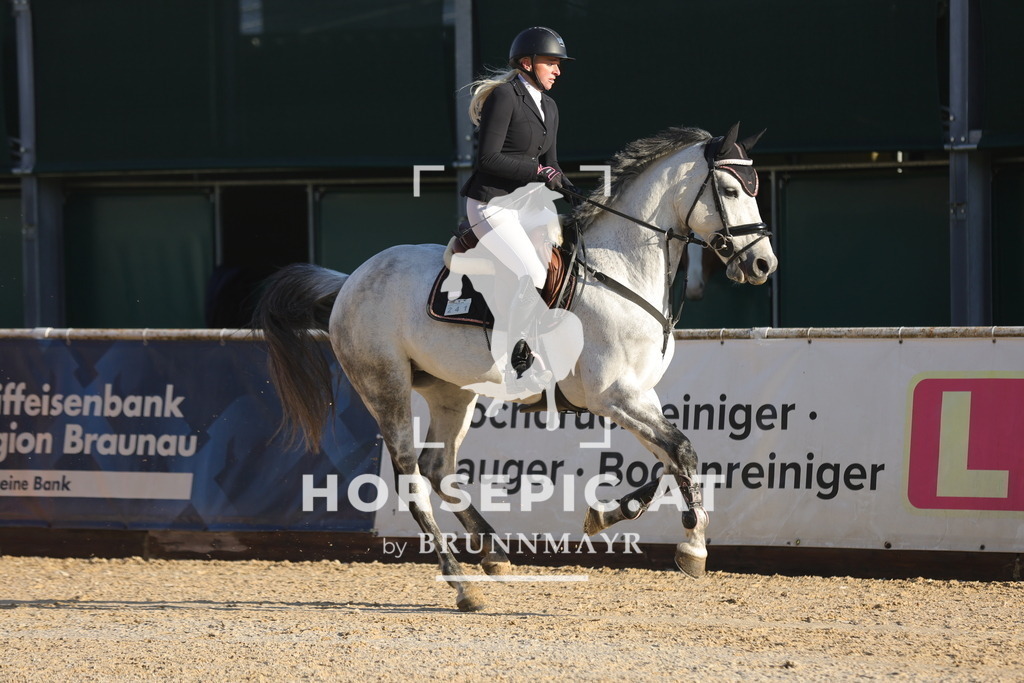 0P6A6297 | Willkommen bei Brunnmayr - Design & Fotografie – Ihrem Spezialisten für Reitturniere und Pferdeveranstaltungen in Oberösterreich, Salzburg und Bayern! Seit über 17 Jahren sind wir leidenschaftlich dabei.