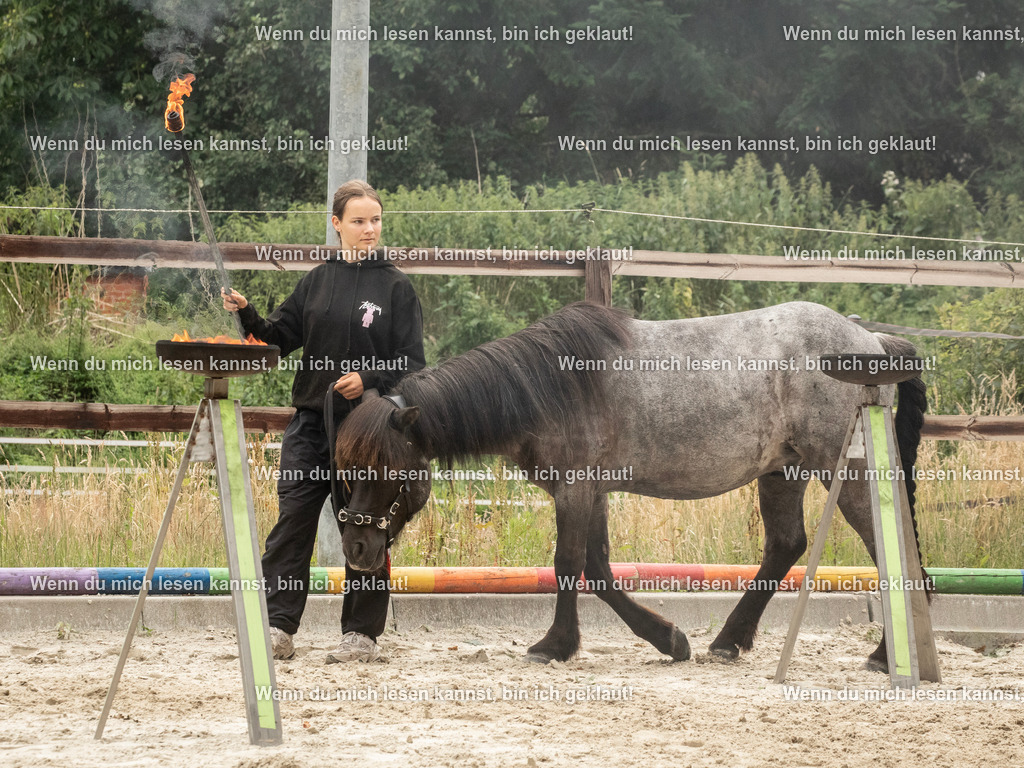 598A7838 | photographylinaismer - Realisiert mit Pictrs.com
