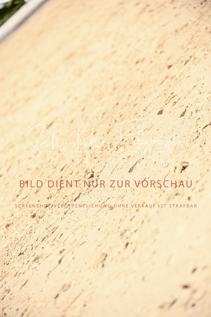 Schugtsche-Aluta25-49.Dressurpferdeprf.A-372 | Schugtsche Fotografie - Realisiert mit Pictrs.com